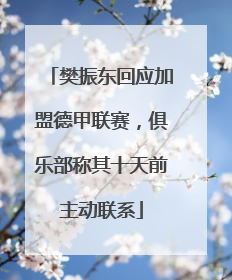 樊振东回应加盟德甲联赛，俱乐部称其十天前主动联系
